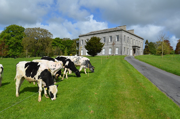Townley Hall - A Pantheon in Ireland