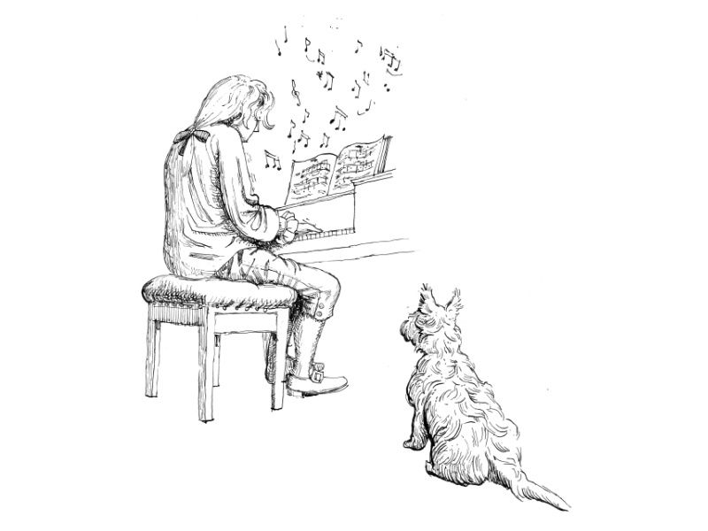 Why does my Puppy like Mozart?